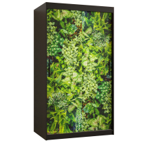 Šatní skříň Bluszcz 1 | 100 cm | černá