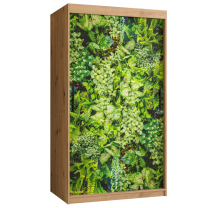 Šatní skříň Bluszcz 1 | 100 cm | artisan