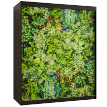 Šatní skříň Bluszcz 1 | 150 cm | černá