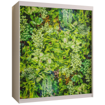Šatní skříň Bluszcz 1 | 150 cm | bílá