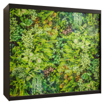 Šatní skříň Bluszcz 1 | 200 cm | černá