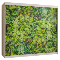 Šatní skříň Bluszcz 1 | 200 cm | bílá