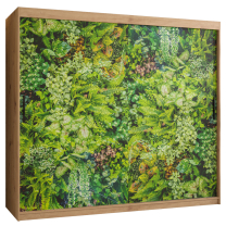 Šatní skříň Bluszcz 1 | 200 cm | artisan