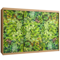 Šatní skříň Bluszcz 1 | 250 cm | artisan