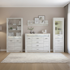 Obývací stěna INDIANAPOLIS k | sestava E | kraft bílý