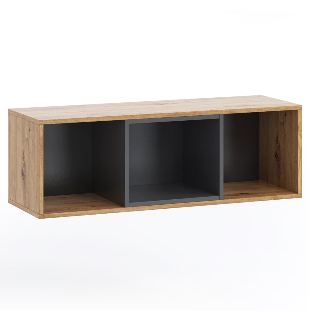 OLIER a | závěsná police WISZ2D OL-11 | 105 cm | artisan/černá mat