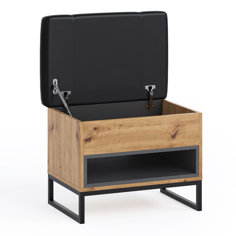 Obývací stěna + předsíňová stěna OLIER a | sestava D | 6 dílů | artisan/černá