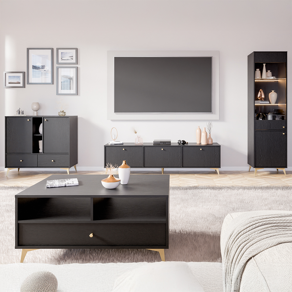 TOKYO 1 c | TV stolek RTV 302 | 120,6 cm | černá grafit/zlatá